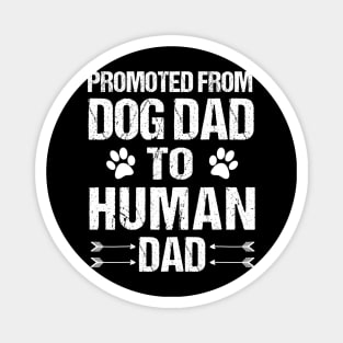 From Dog Daddy to Human Daddy Magnet